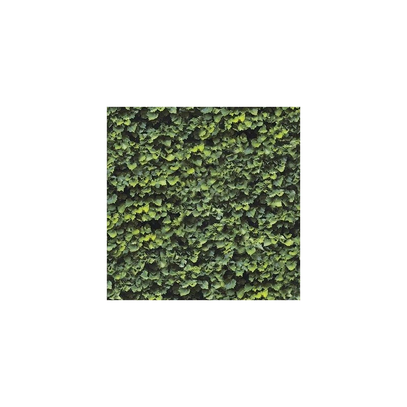 Limpha Arborea – 120x278, 6mm