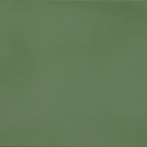R-Evolution Green SQ 30x60 9mm