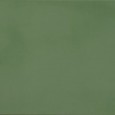 R-Evolution Green SQ 30x60 9mm