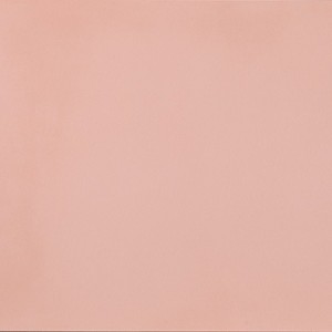 R-Evolution Light Pink R10