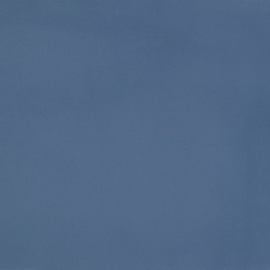 R-Evolution Blue R10 60x120 9mm