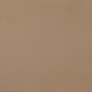 R-Evolution Terra SQ 60x60 9mm