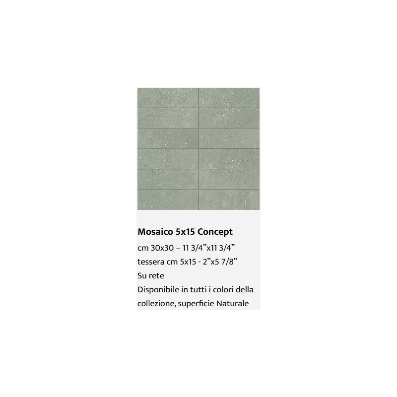 CONCEPT MOSAIC GREEN 5x15 30x30 - Casalgrande Padana
