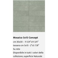 CONCEPT MOSAIC GREEN 5x15 30x30 - Casalgrande Padana