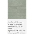 CONCEPT MOSAIC GREEN 5x15 30x30 - Casalgrande Padana