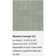 CONCEPT MOSAIC WHITE 5x5 30x30 - Casalgrande Padana