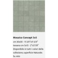 CONCEPT MOSAIC WHITE 5x5 30x30 - Casalgrande Padana