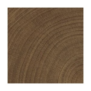 W-CIRCLES BRICK 5,3x30