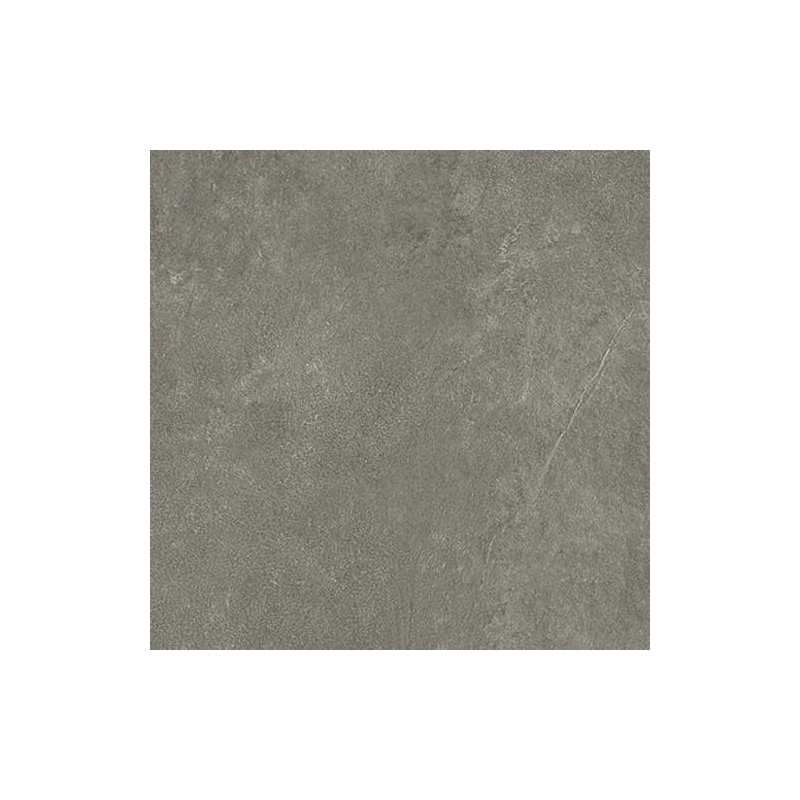 Ardesia 60x60 gris moyen