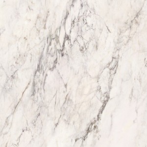 BRECCIA CAPRAIA 120x280