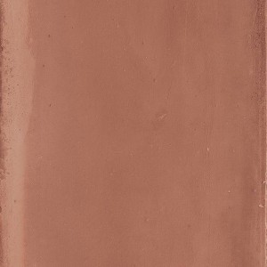 Bricksy Coral Glossy: design et couleur