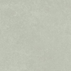 INX AGAVE WALL 50x120 rivcm