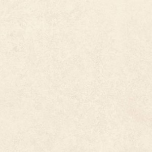 Jasmine Wall 50x120 riv