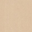 Cohesa Tracce Ocra Matt 60x120