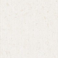 Miralith Trame Gesso MATT 60x120 by CERDOMUS