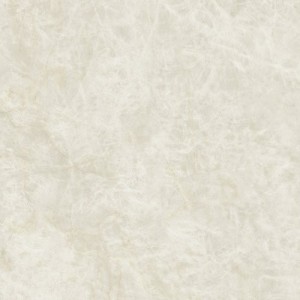 SCULTOREA DELICATA Taj-Mahal Naturale 60x120