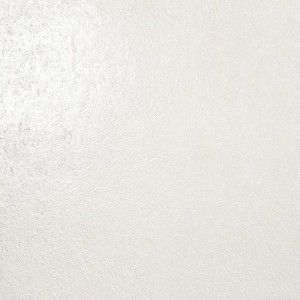 ARTESETA K261 50x120 brillant
