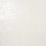 Arteseta GYPSUM 50x120 Fliesen