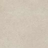 Lithora Greige 60x60 tile