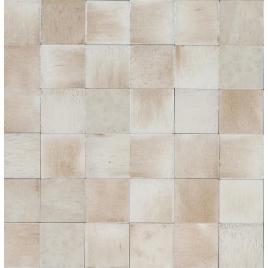 Ragno Gleeze Beige 10x10 Glossy – R8GL
