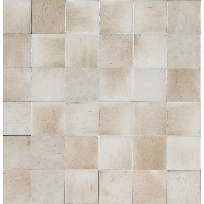 GLEEZE Beige 10x10 Glossy Wall Tile by Ragno R8GL