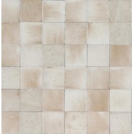 GLEEZE Beige 10x10 Glossy Wall Tile by Ragno R8GL