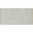 Fusion Grey Gold Natural 50x100
