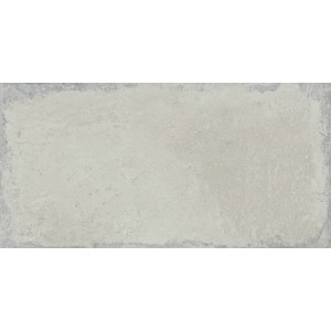 Fusion Grey Silver Natural 50x100 - Aparici