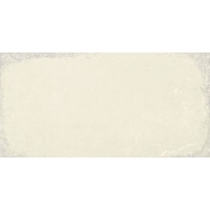 Fusion Ivory Silver Natural 50x100