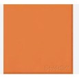 FLEXIBLE ARCHITECTURE FLEXI 2 Logo Or Orange 30x30 cm