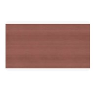 Concept Red Cannette 60x120 12mm Casalgrande Padana