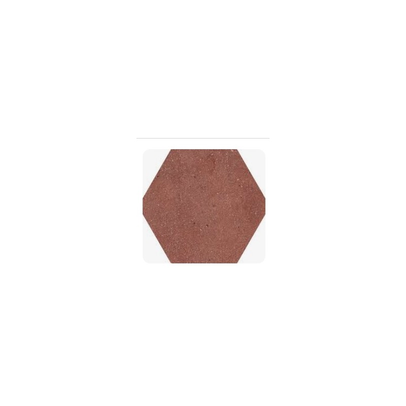 Concept Esagono Red 12,5x22 Casalgrande Padana