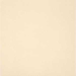 UNICOLORE BIANCO 10x20cm Casalgrande Padana 110001 - Granitogres matt
