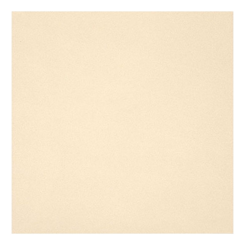 UNICOLORE BIANCO 10x20 Casalgrande Padana 110001