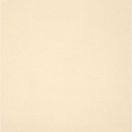 UNICOLORE BIANCO 10x20 Casalgrande Padana 110001