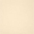 UNICOLORE BIANCO 10x20 Casalgrande Padana 110001
