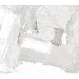 OLEO White Naturel 50x100