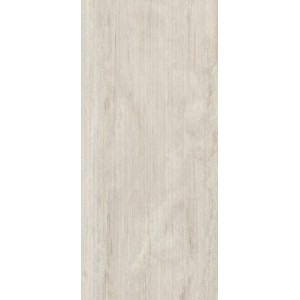 INCISA Recto Argentum 60x120