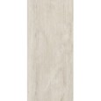 INCISA Recto Argentum 60x120