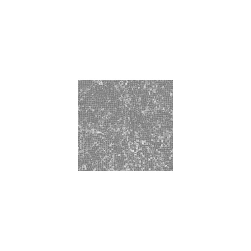 LYTHOS Pompeii Grey 60x120