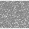 LYTHOS Pompeii Grey 60x120