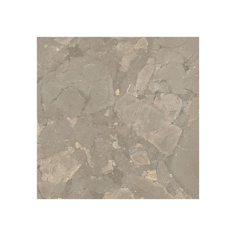 Lythos Greige 60x120 Steinoptik