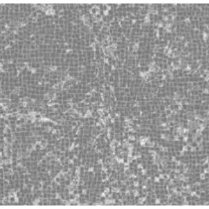 Lythos Pompeii Grey 90x90 COEM IFM903L