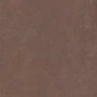 Concrete Earth 120x120 - matt