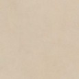 Plaster Powder 60x60