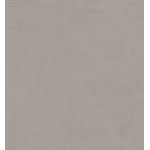 RES ASQ ASH 60x120 cm 6mm