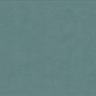 GIOIA BOSCO 60x120