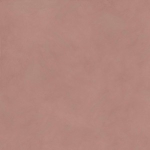 Piastrella cotto naturale 20x120