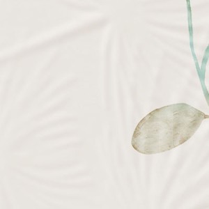 BRIO Soffione Pastello – texture et teintes pastel