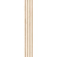 Crust 3D-Wandbelag Rondine